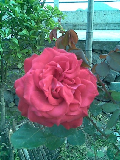 Image002.jpg
