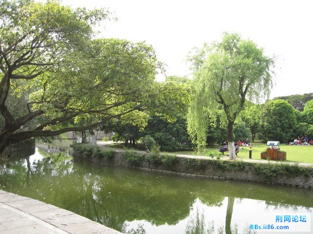 IMG_5395.jpg