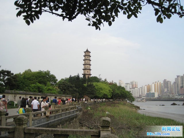 IMG_5474.jpg