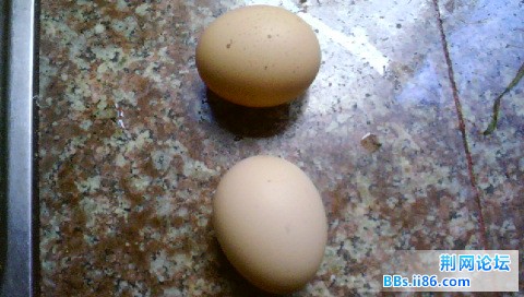 我家鸡鸡生的蛋蛋
