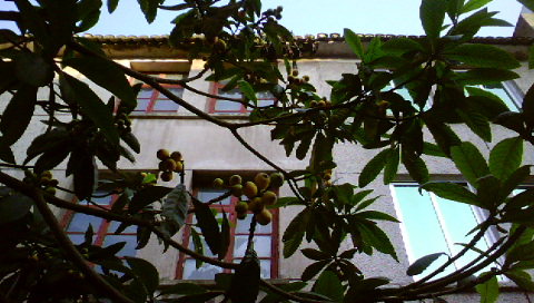 DSC00291.JPG