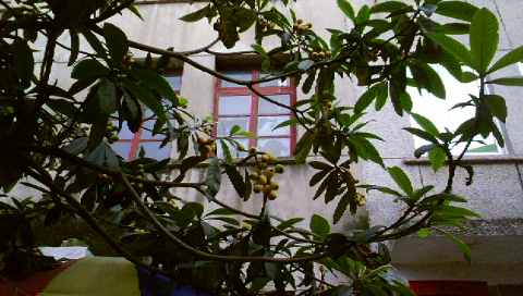 DSC00292.JPG