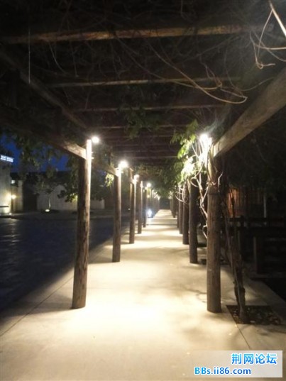 DSC00887 (中等).JPG