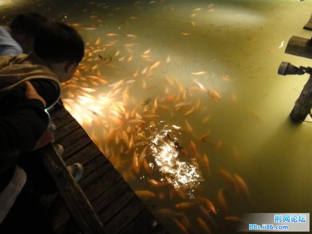 DSC00932 (中等).JPG