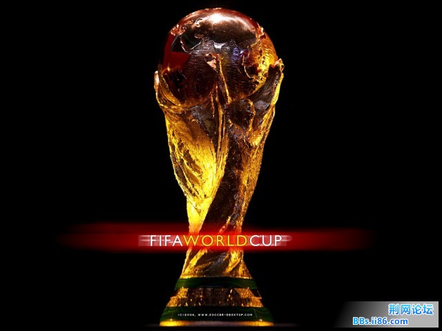世界杯
