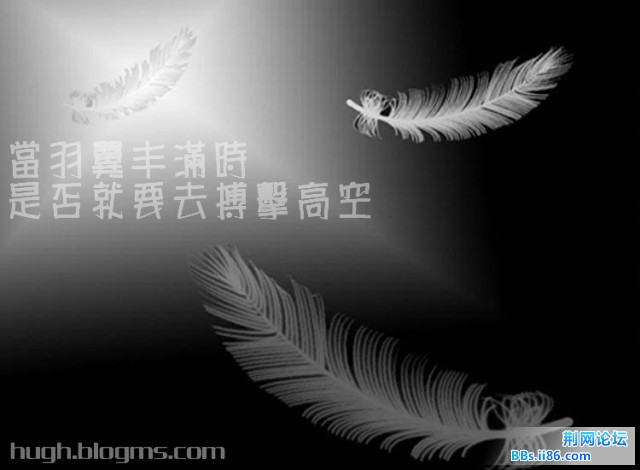 羽毛