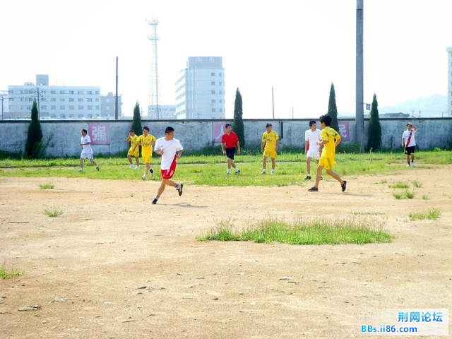 06.jpg