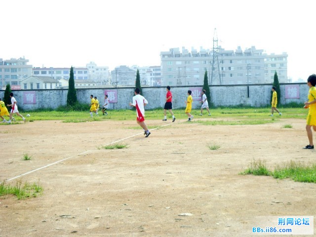 08.jpg