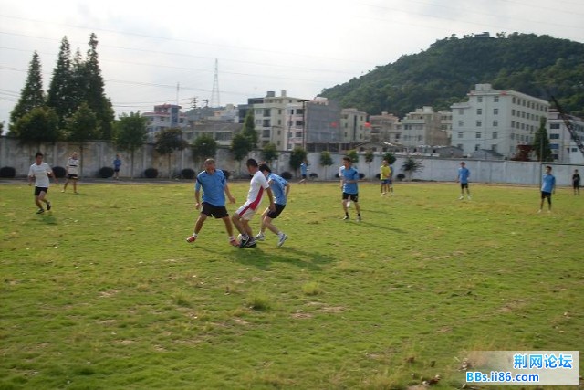 SDC10006.JPG