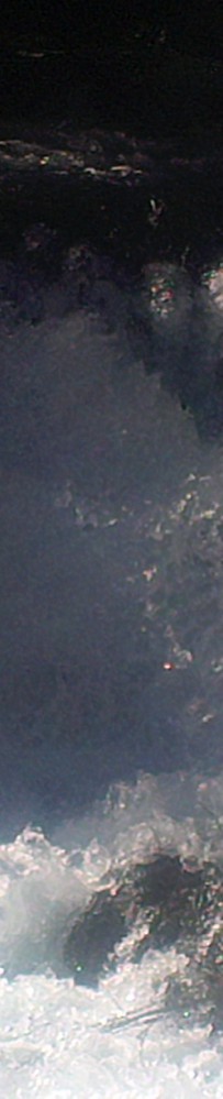 再游九寨（1)