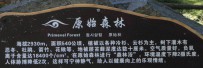 2013年的西部自驾游⑧九寨沟☆原始森林