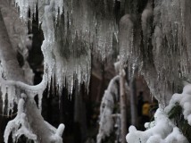 雪之小景