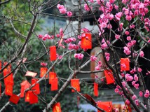 成都锦里春节大庙会1!