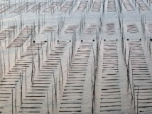霞浦海上养殖