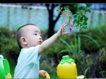 雨后