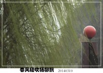 春天的活力